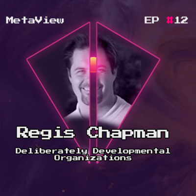 MetaView #12 - Deliberately Developmental Organizations with Durgadas of TEC