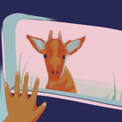 Are Zoos Actually Bad?