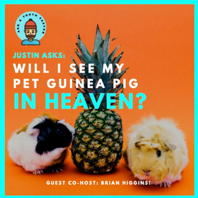Justin Asks: Do Pets Go To Heaven?
