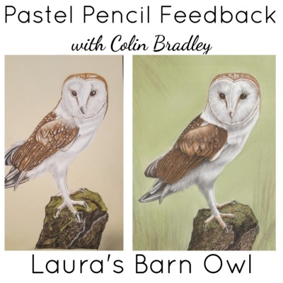 Pastel Pencil Feedback & Advice