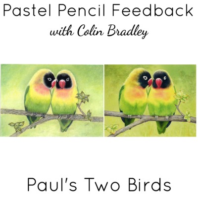 Paul's Two Birds Feedback