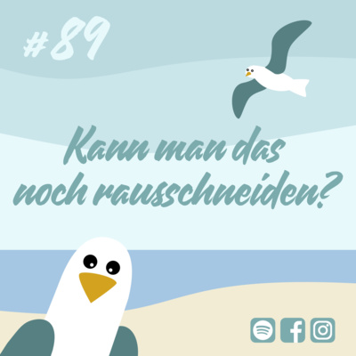 Möwenschiet
