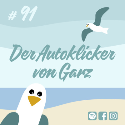 Möwenschiet