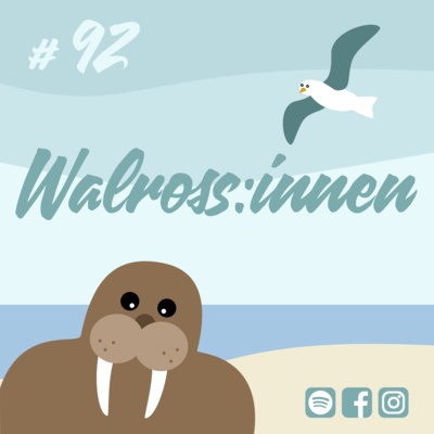 Möwenschiet