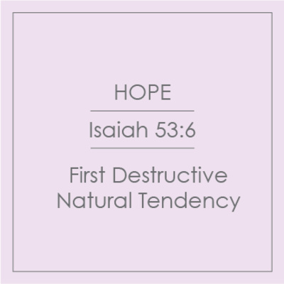 17 - Hope - First Destructive Natural Tendency episode artwork