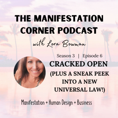 S3 E6: Cracked Open (and a Peek Into A New Universal Law!) episode artwork