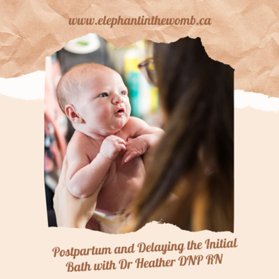 Ep 15 Postpartum and Delaying the Initial Bath with Dr Heather DNP RN