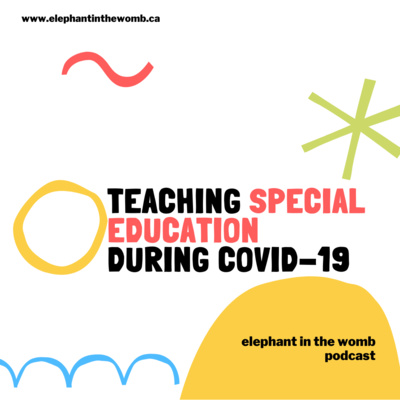 Ep 16 Teaching Special Education During COVID-19