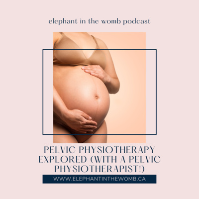 Ep 17 Pelvic Physiotherapy Explored (With a Pelvic Physiotherapist!)