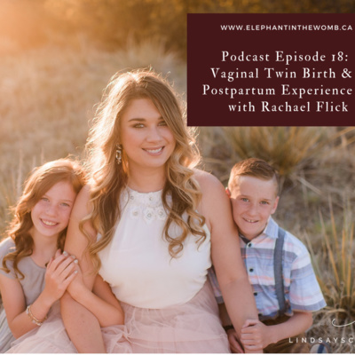 Ep 19 Vaginal Twin Birth & Postpartum Experience