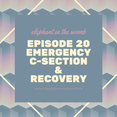 Ep 20 Emergency C Section & Recovery with Christen 