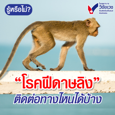 โรคฝีดาษลิงติดต่อทางไหนได้บ้าง episode artwork