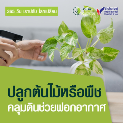 "ปลูกต้นไม้หรือพืชคลุมดินช่วยฟอกอากาศ" ในโครงการ 365 วันเราปรับ โลกเปลี่ยน โดยกลุ่มโรงพยาบาลวิชัยเวช episode artwork