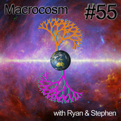 Macrocosm