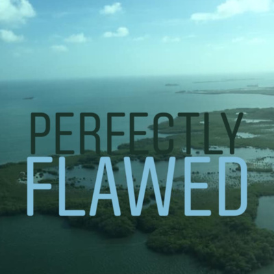 Perfectly Flawed