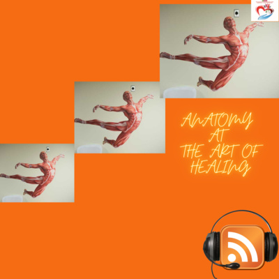 S1E1 Human Anatomy, Intro Trailer