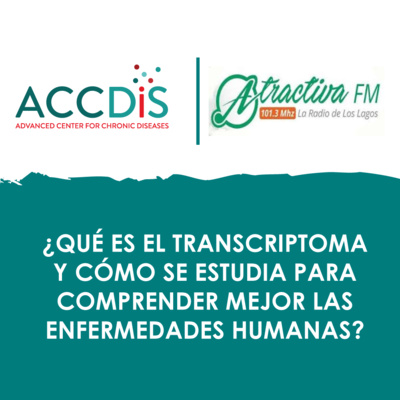 ¿Qué es el transcriptoma y cómo se estudia para comprender mejor las enfermedades humanas?