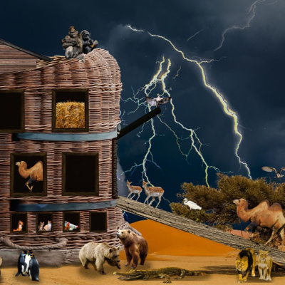 Ep 22 | Who Domesticated First, the Chicken or the Camel?! episode artwork
