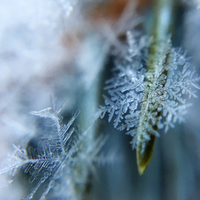 Ep 33 | Are All Snowflakes Really Unique? episode artwork