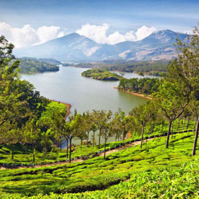 बसंत बहार (२) |