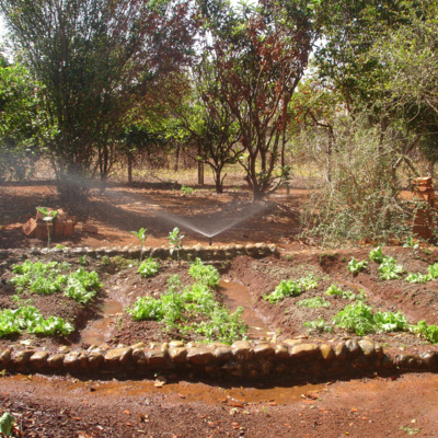 Agricultura e mudanças climáticas.