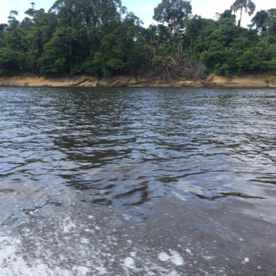 Áreas de proteção ambiental no mundo.