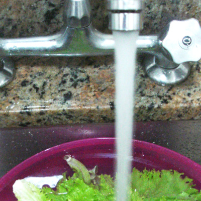 Água que desagua pelo ralo...