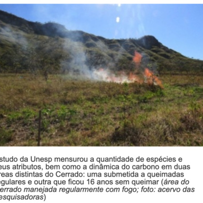 Podcasts de Ecologia/Composições musicais/NaturezaEcology Podcasts/Musical Compositions/Nature