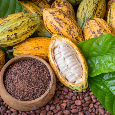 Podcasts de Ecologia/Composições musicais/NaturezaEcology Podcasts/Musical Compositions/Nature