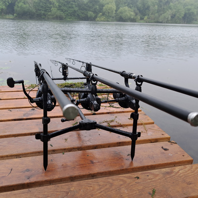 Lily Lake 005 / Carp Fishing / E112