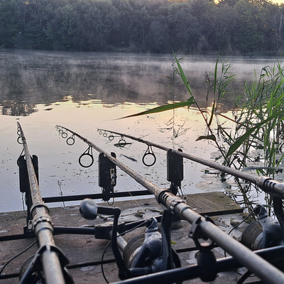 Lily Lake 007 / Carp Fishing / E117