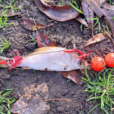 Nandos Lake 016 / Pike Fishing / E124