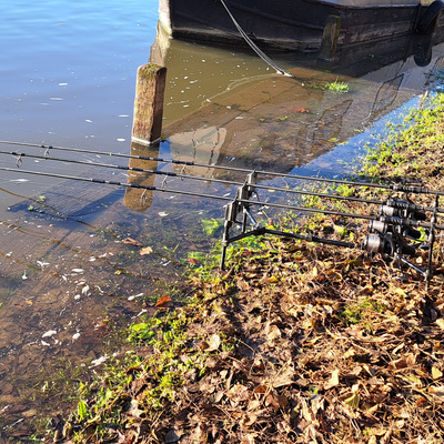 River Thames 007 / Pike Fishing / E128