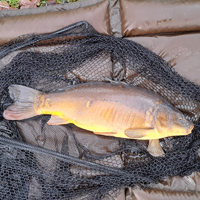 Atkins Lake 010 / Carp Fishing / E129