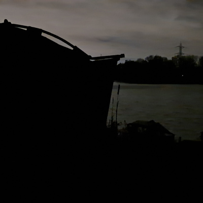 Lily Lake 013 / Carp Fishing / E142