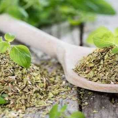 Weight loss Friendly Herb: Oregano