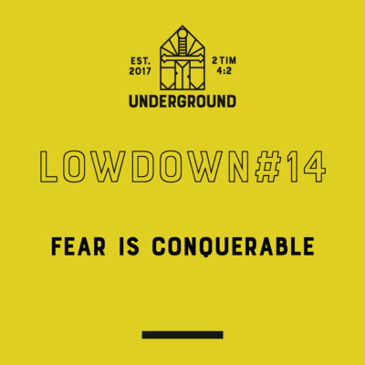 Lowdown #14: Fear Is Conquerable episode artwork