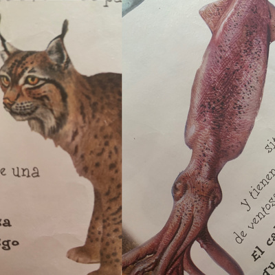 Animales, naturaleza y otras cosas