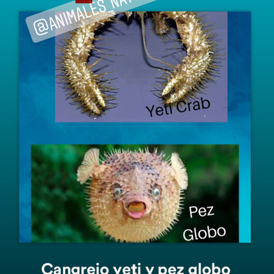 Animales, naturaleza y otras cosas