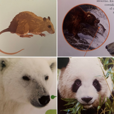Animales, naturaleza y otras cosas