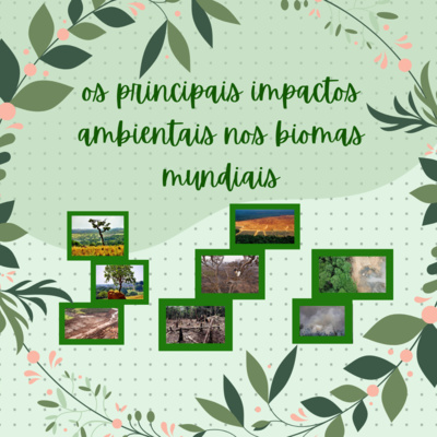 ANA CLARA RIBEIRO NASCIMENTO