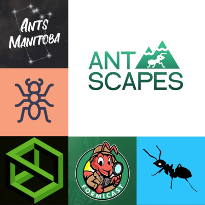 Easter Panel Special Part 1 Feat Ants Britania, Ants Manitoba, Esthetic Ants, TheUrbanAntKeeper, and AntScapes