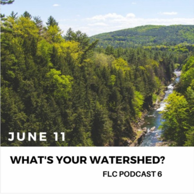 FLC Podcast 6