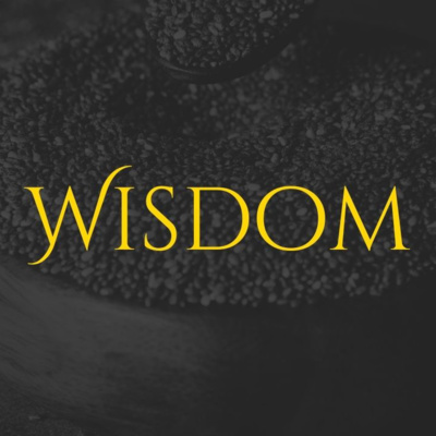 Wisdom Day 11: Leverage Your Resources episode artwork