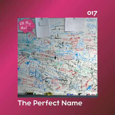 E17: The Perfect Name episode artwork
