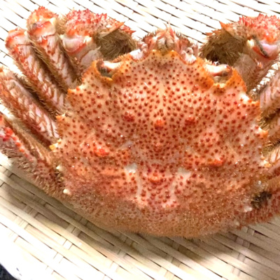 バチが当たるほど『毛蟹』食べました・・#61杯目