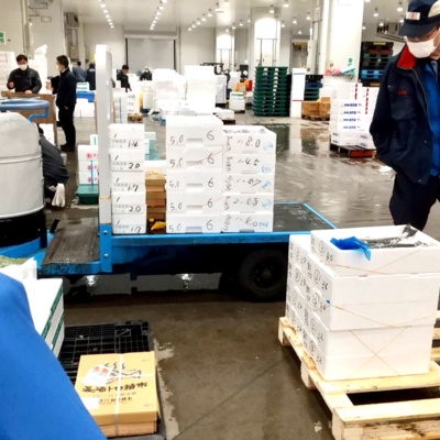 【知らなきゃ損♡】おすすめ魚介通販『豊洲市場ドットコムの今日着く便』#77杯目