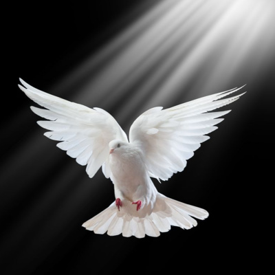 Spiritual Gifts Overview and Commentary. Spiritual Gifts Overview and Commentary.