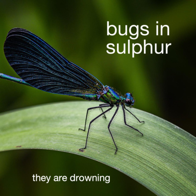 being attracted to hot people is a primal urge