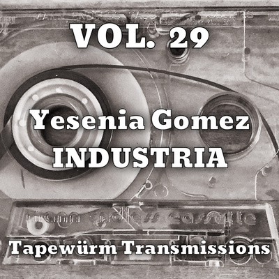 Tapewürm Transmissions